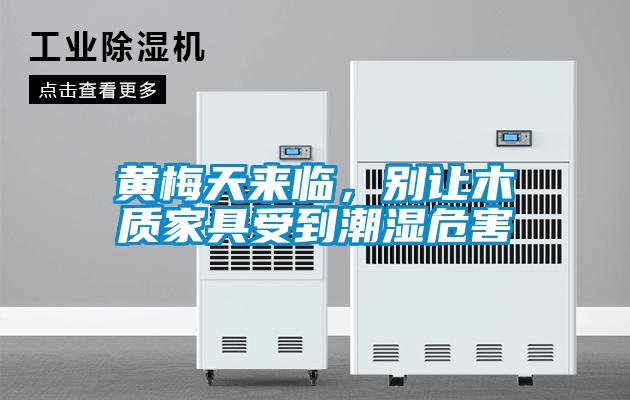 黃梅天來臨，別讓木質家具受到潮濕危害