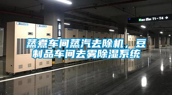 蒸煮車間蒸汽去除機，豆制品車間去霧除濕系統