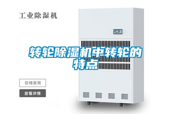 轉輪除濕機中轉輪的特點