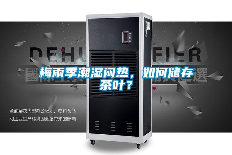 梅雨季潮濕悶熱，如何儲存茶葉？