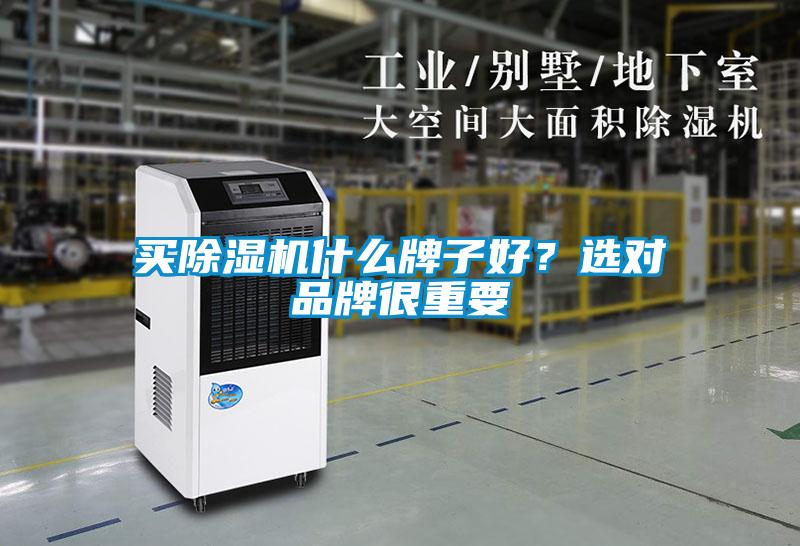買除濕機什么牌子好？選對品牌很重要