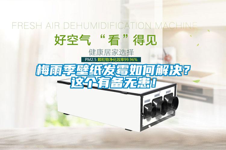 梅雨季壁紙發霉如何解決？這個有備無患！