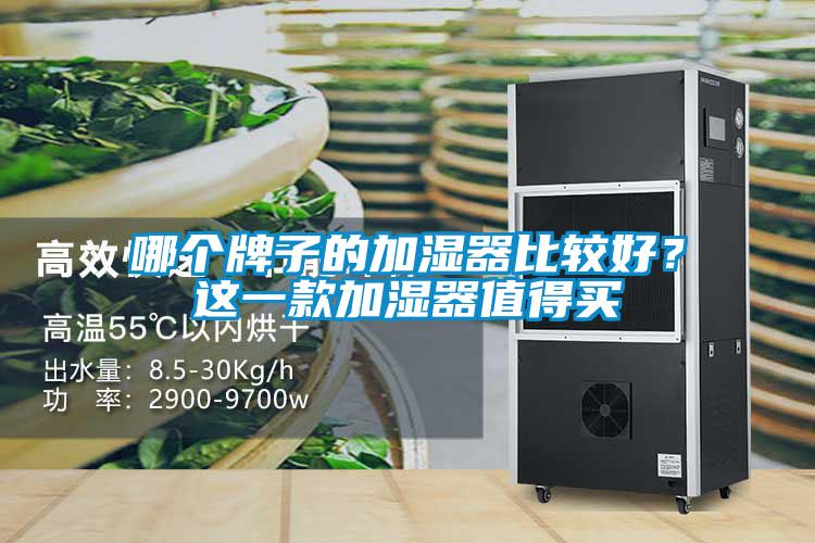 哪個牌子的加濕器比較好？這一款加濕器值得買