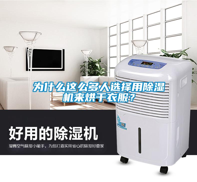 為什么這么多人選擇用除濕機來烘干衣服？