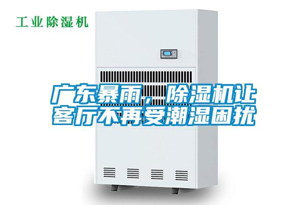 廣東暴雨，除濕機讓客廳不再受潮濕困擾
