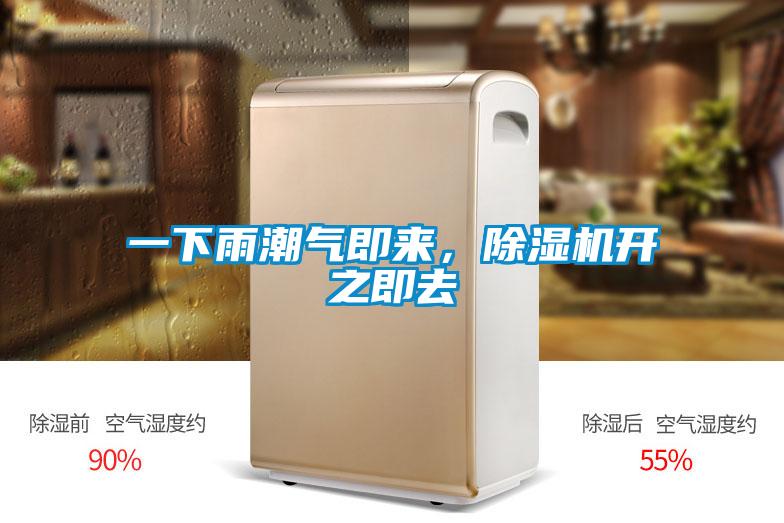 一下雨潮氣即來，除濕機開之即去