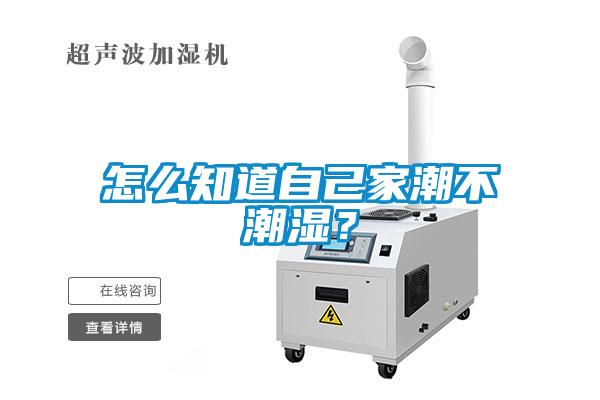 怎么知道自己家潮不潮濕？