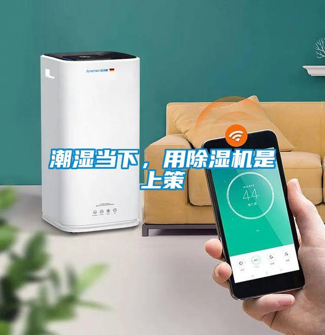 潮濕當下，用除濕機是上策