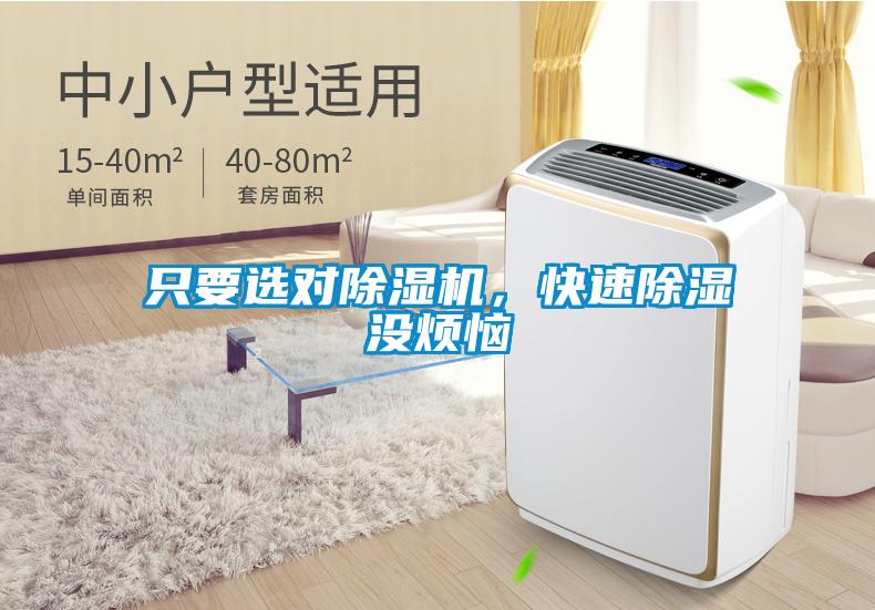 只要選對除濕機，快速除濕沒煩惱