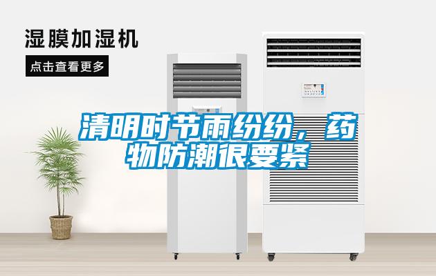 清明時節雨紛紛，藥物防潮很要緊