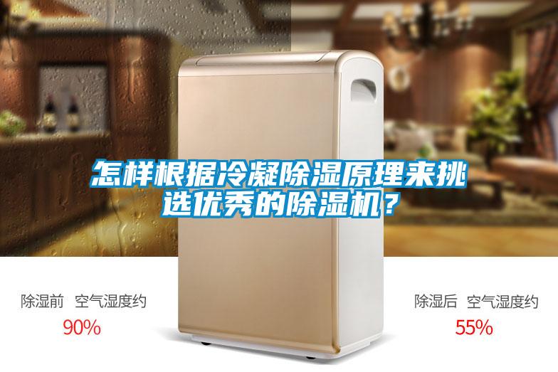 怎樣根據冷凝除濕原理來挑選優秀的除濕機？
