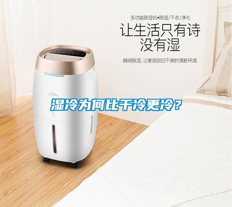 濕冷為何比干冷更冷？
