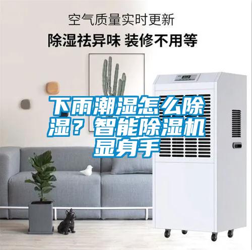 下雨潮濕怎么除濕？智能除濕機顯身手
