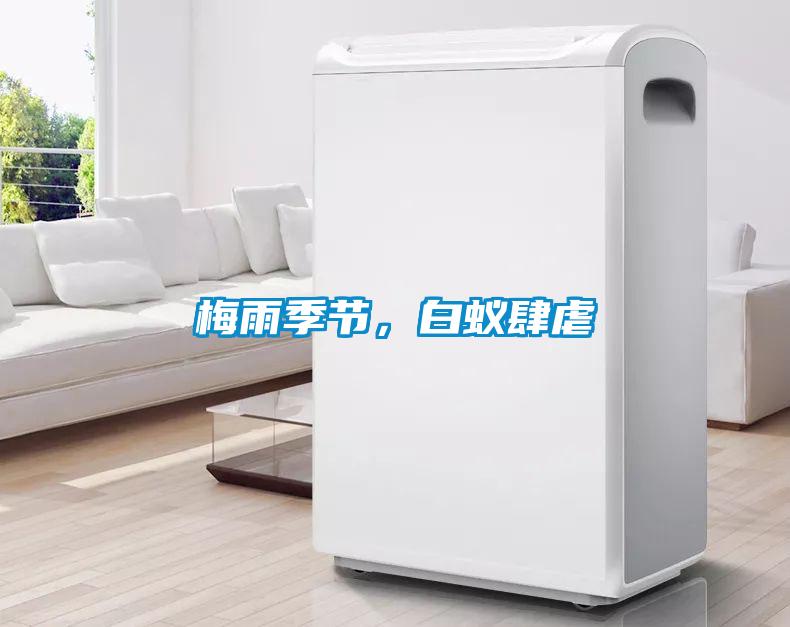 梅雨季節，白蟻肆虐