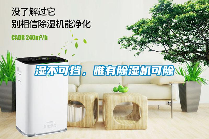 濕不可擋，唯有除濕機可除