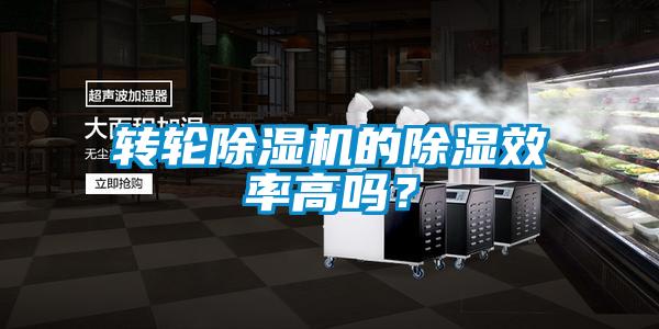 轉輪除濕機的除濕效率高嗎？