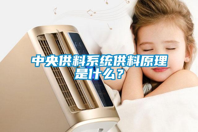 中央供料系統供料原理是什么？
