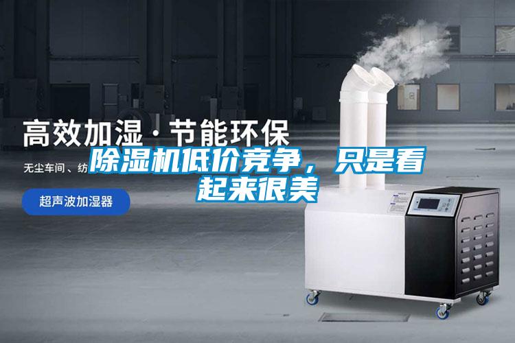 除濕機低價競爭，只是看起來很美