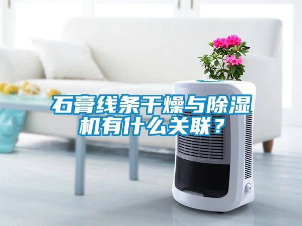石膏線條干燥與除濕機有什么關聯？