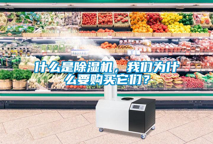 什么是除濕機，我們為什么要購買它們？
