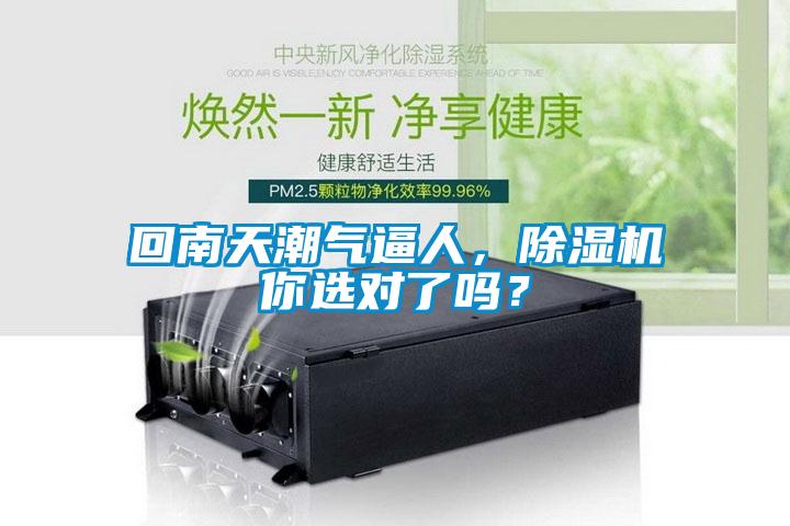 回南天潮氣逼人，除濕機你選對了嗎？