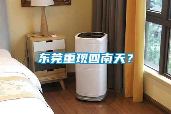 東莞重現回南天？