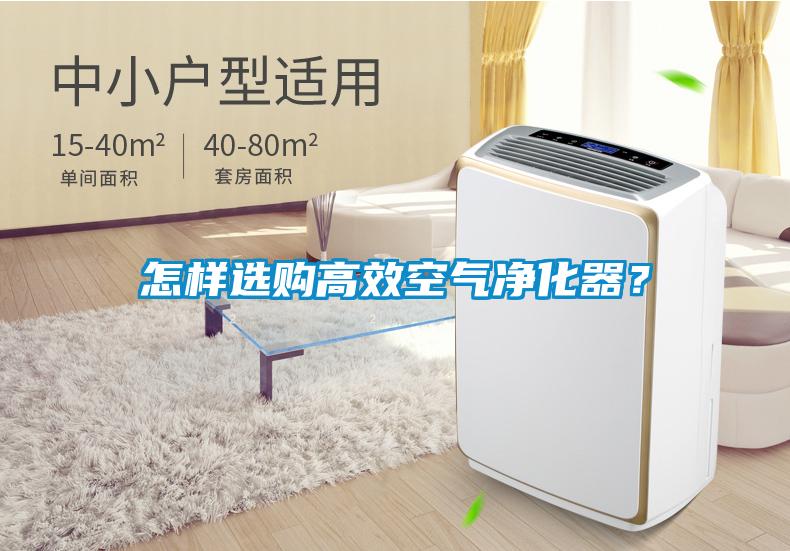 怎樣選購高效空氣凈化器？