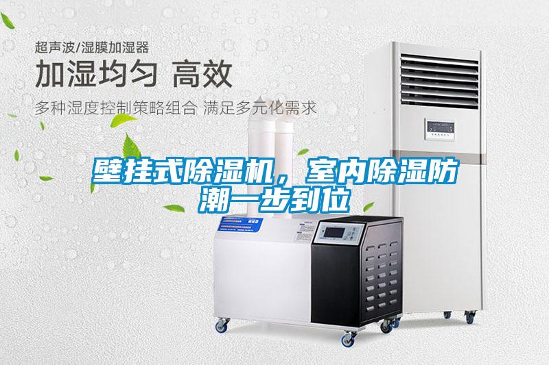 壁掛式除濕機，室內除濕防潮一步到位