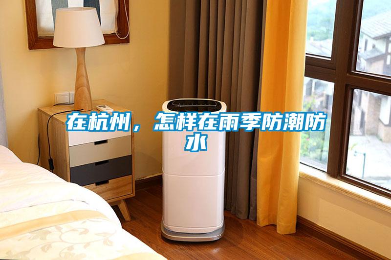 在杭州，怎樣在雨季防潮防水