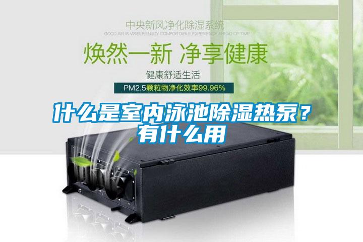 什么是室內泳池除濕熱泵？有什么用