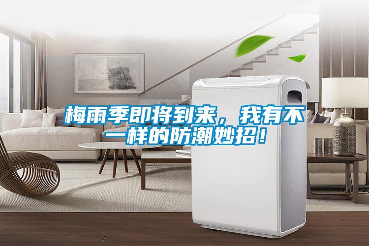 梅雨季即將到來，我有不一樣的防潮妙招！