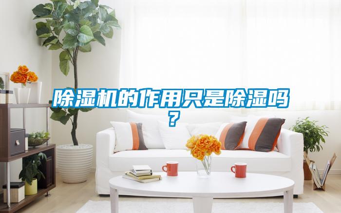 除濕機的作用只是除濕嗎？