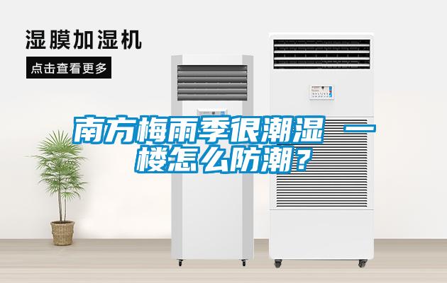 南方梅雨季很潮濕 一樓怎么防潮？