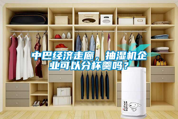 中巴經濟走廊，抽濕機企業可以分杯羹嗎？