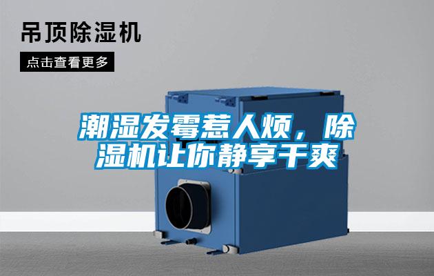 潮濕發霉惹人煩，除濕機讓你靜享干爽
