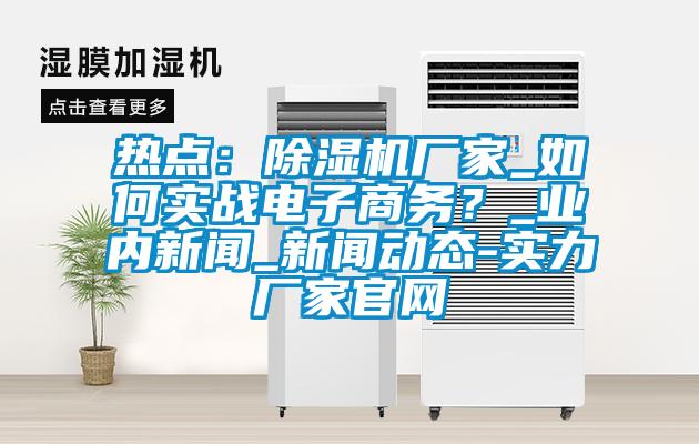 熱點：除濕機廠家_如何實戰電子商務？_業內新聞_新聞動態-實力廠家官網