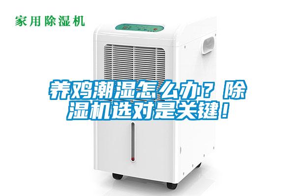 養雞潮濕怎么辦？除濕機選對是關鍵！