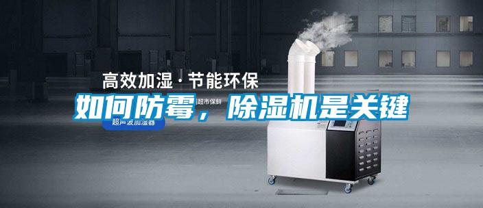 如何防霉，除濕機是關鍵
