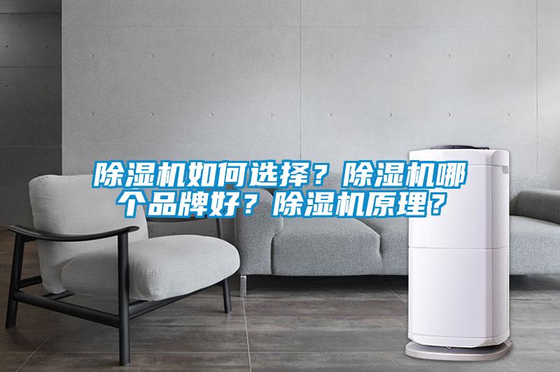 除濕機如何選擇？除濕機哪個品牌好？除濕機原理？