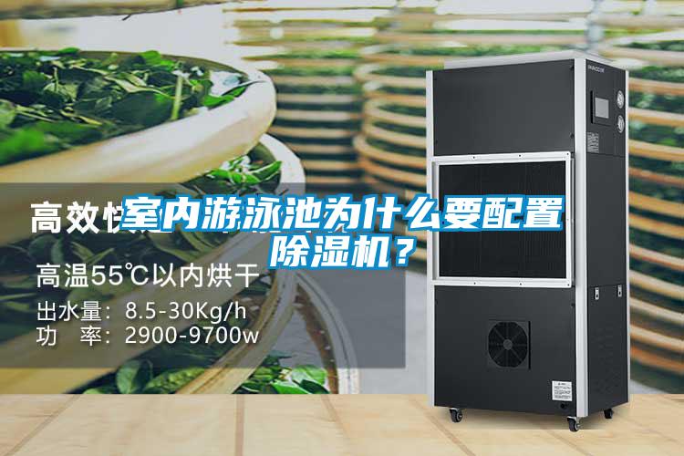 室內游泳池為什么要配置除濕機？
