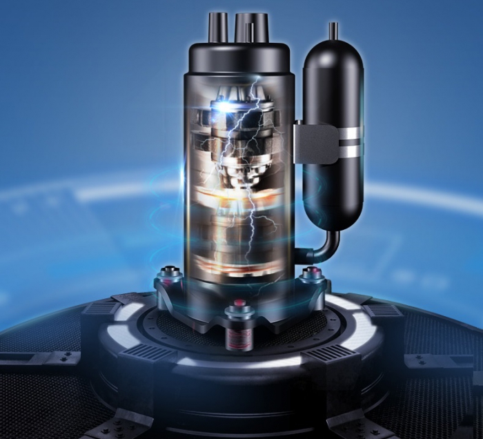 潮濕的木頭長木耳，寒濕的體質長腫瘤！