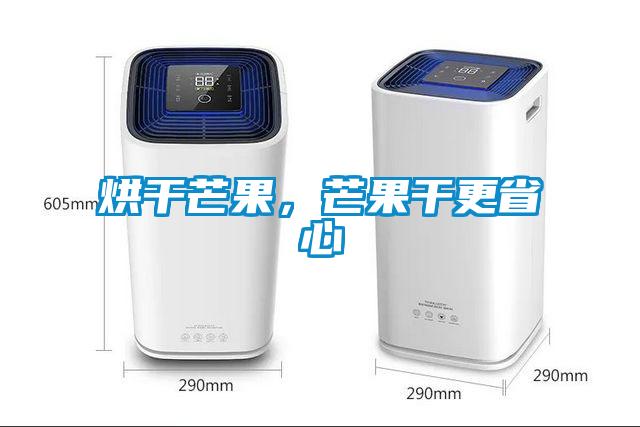 烘干芒果，芒果干更省心