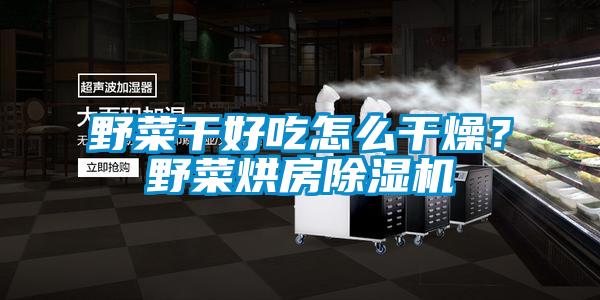 野菜干好吃怎么干燥？野菜烘房除濕機