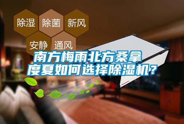 南方梅雨北方桑拿 度夏如何選擇除濕機？