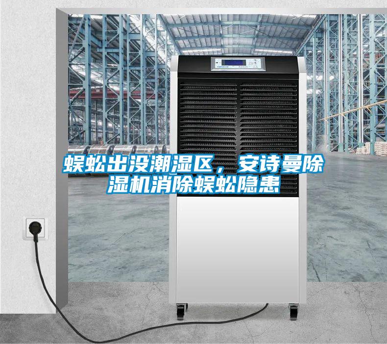 蜈蚣出沒潮濕區，安詩曼除濕機消除蜈蚣隱患
