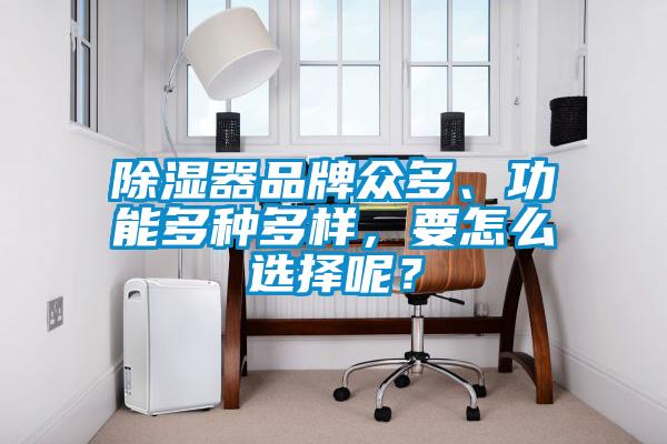 除濕器品牌眾多、功能多種多樣，要怎么選擇呢？