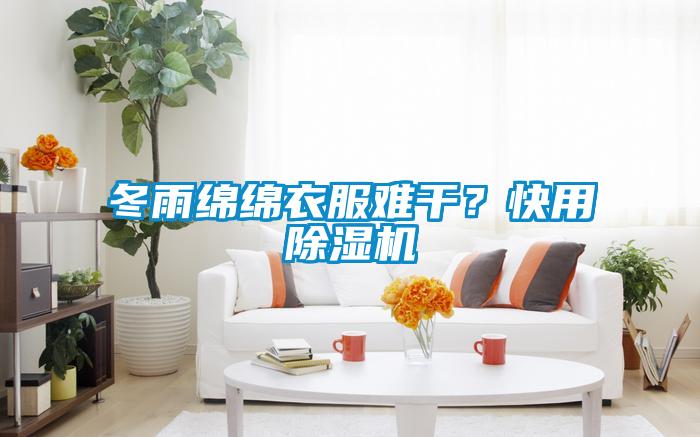 冬雨綿綿衣服難干？快用除濕機