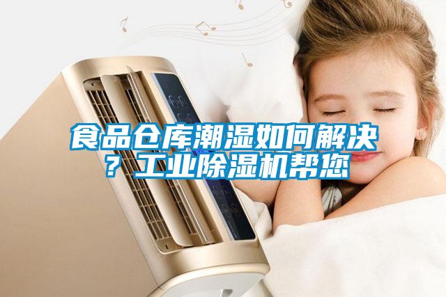 食品倉庫潮濕如何解決？工業除濕機幫您