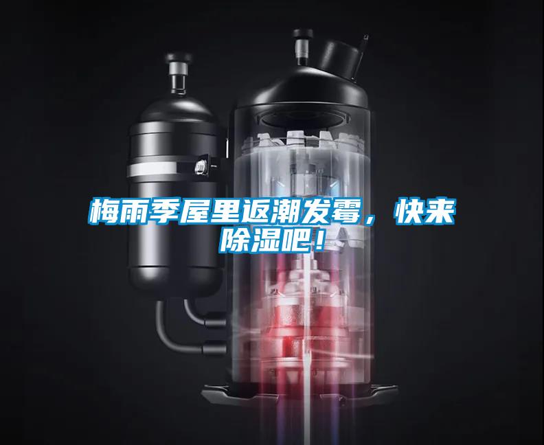 梅雨季屋里返潮發霉，快來除濕吧！