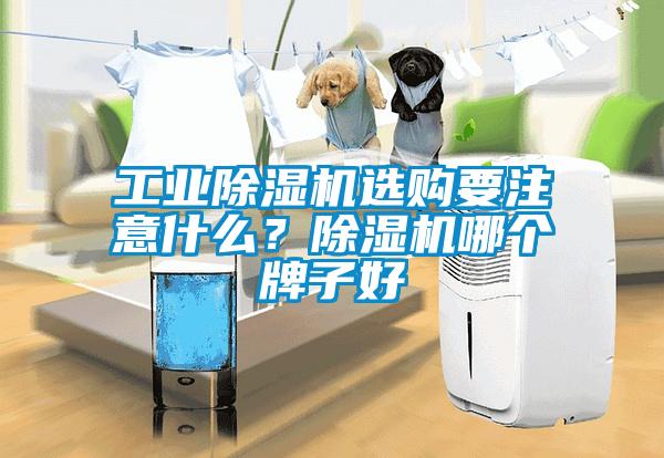 工業除濕機選購要注意什么？除濕機哪個牌子好